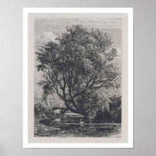 Poster Le saule (gravure)
