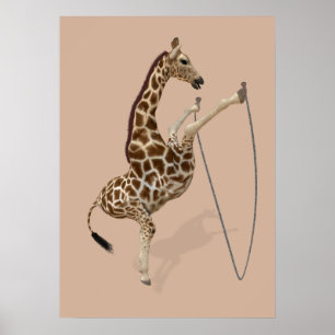 Poster Le Saut De Corde Est Un Grand Amusement