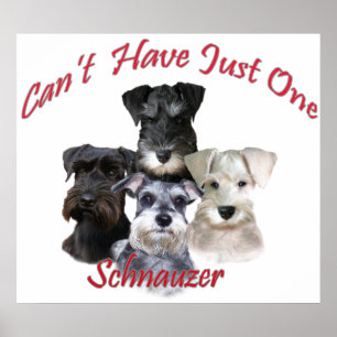 Poster Le Schnauzer ne peut pas avoir juste un imprime
