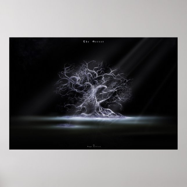 Poster Le secret 2 (Devant)