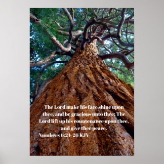 Poster Le Seigneur fait briller son visage, levant