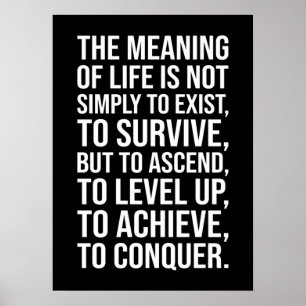 Poster Le Sens De La Vie Est De Conquérir