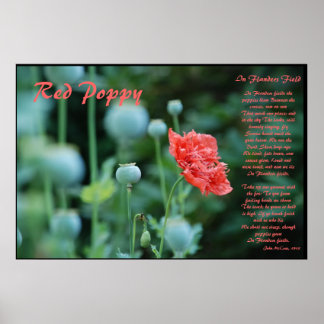 Poster Le sens du pavot rouge