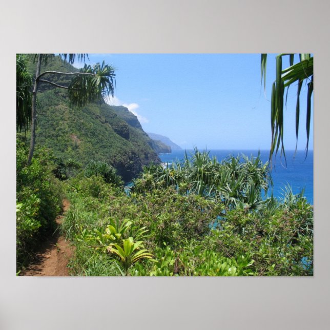 Poster Le sentier de Kalalau (Devant)