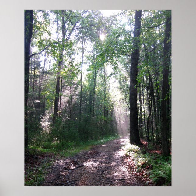 Poster Le sentier des Appalaches, PA (Devant)