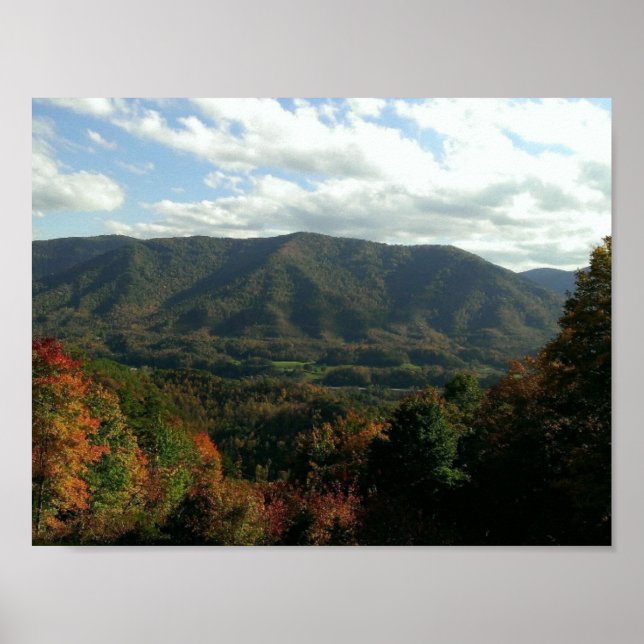 Poster Le sentier du petit berger (Devant)