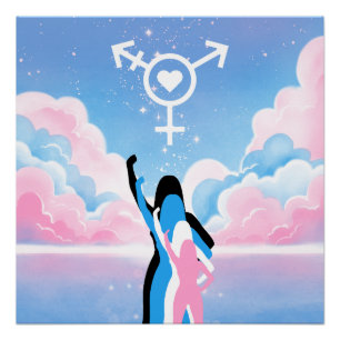 Poster Le Signal Trans