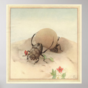 Poster LE SISYPHUS - Illustration du livre d'insectes