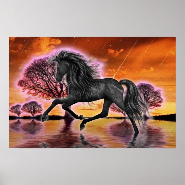 Poster Le Stallion Noir .. image imaginaire ... (Devant)