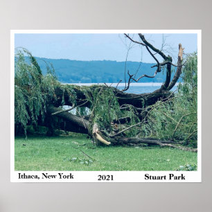 POSTER LE STORM STUART PARK 2021