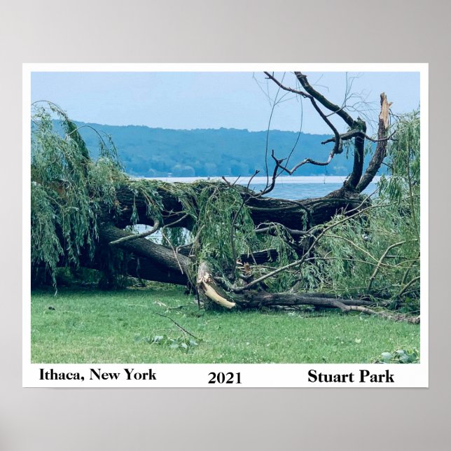 POSTER LE STORM STUART PARK 2021 (Devant)