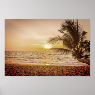 Poster Le Sunset Coconut Palm sur la plage