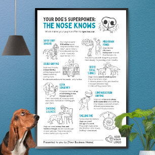 Poster Le super-pouvoir de votre chien - Le nez sait