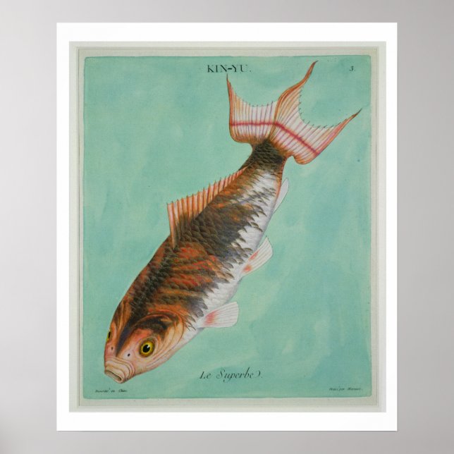 Poster Le Superbe, gravé par François Nicholas Martinet (Devant)