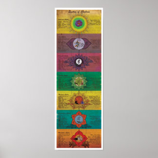 Poster Le Système Des Chakras
