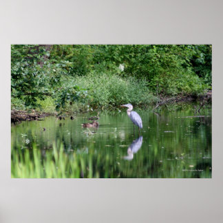 Poster Le temps passe en une minute -"Galerie Imprimer