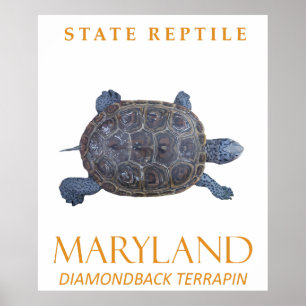 Poster Le Territoire Du Maryland Reptile La tortue d'eau 