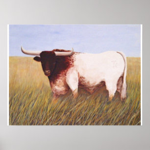 Poster Le Texas Longhorn
