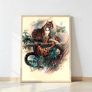 Poster Le Tigre Cloudé