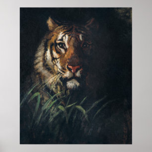 Poster Le tigre de Thayer