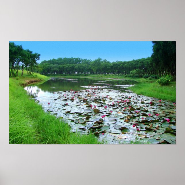 Poster Le toucher de la nature (Devant)
