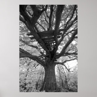 Poster Le Vieux Fort