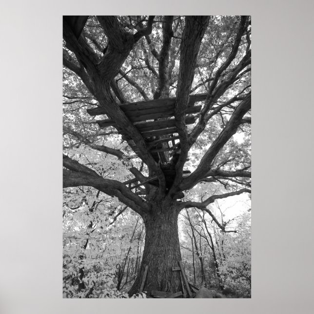 Poster Le Vieux Fort (Devant)