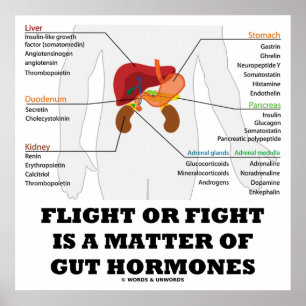Poster Le Vol Ou La Lutte Est Une Question D'Hormones De 