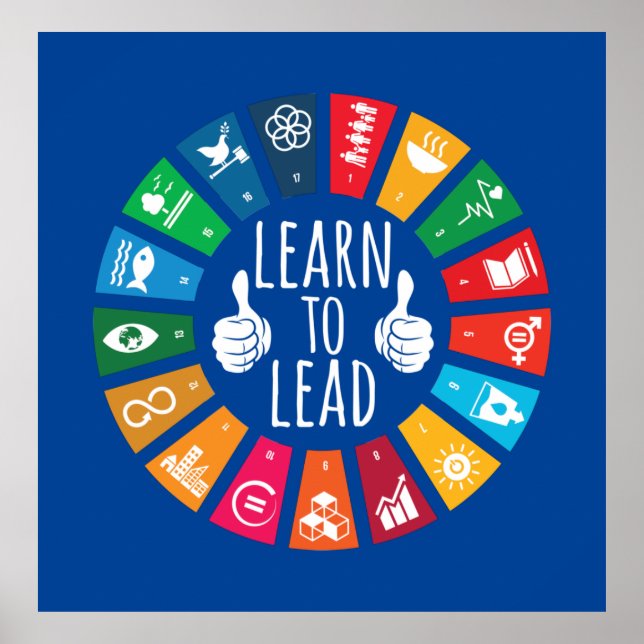 Poster Leadership : Apprendre À Diriger (Devant)