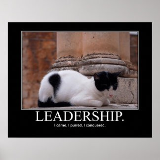 Poster Leadership Cat Artwork