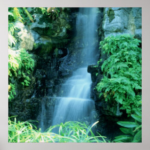 POSTER L'EAU TOMBE AU JARDIN SHAWS