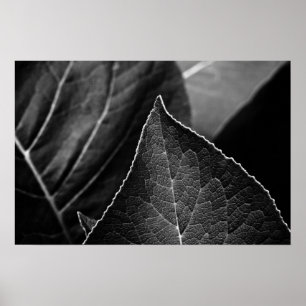 Poster leaves