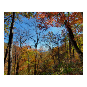 Poster Leaves de la forêt de randonnée de la montagne d'a