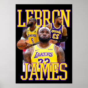 Poster lebron james, nba, basket-ball, roi james, slam du