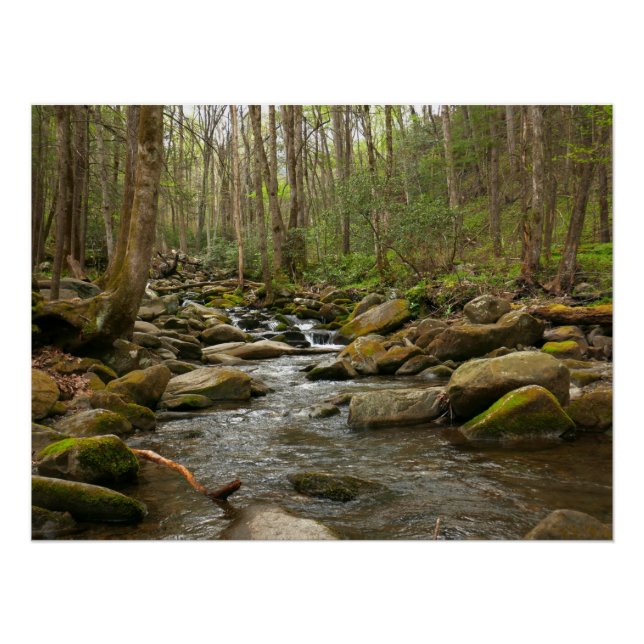 Poster LeConte Creek at Great Smoky Mountains (Devant)
