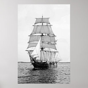 Poster L'écorce Robert Ewing