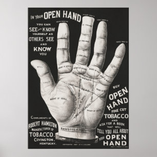 Poster Lecture de Palm