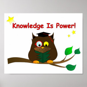 Poster Lecture de Wise Owl