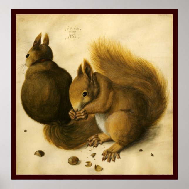 POSTER L'ÉCUREUIL AVEC DES NOIX (Devant)