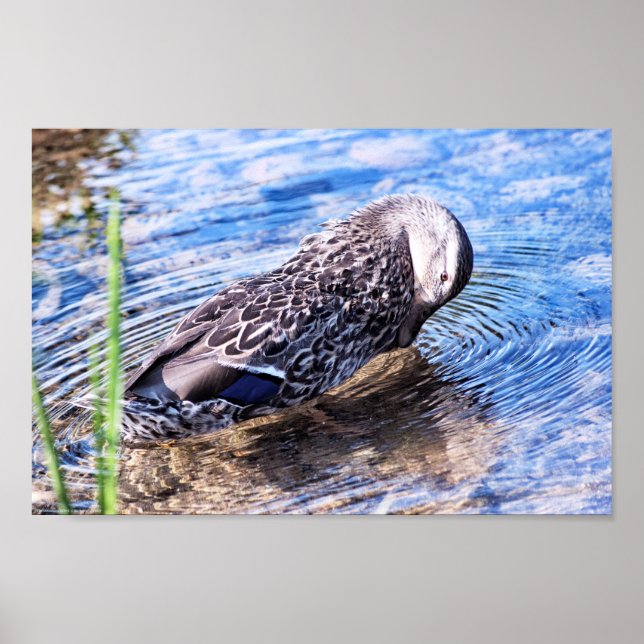 Poster L'effet Grooming (Devant)