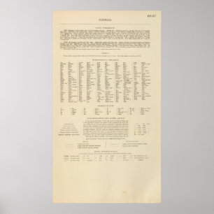 Poster Légende 16667 Australie