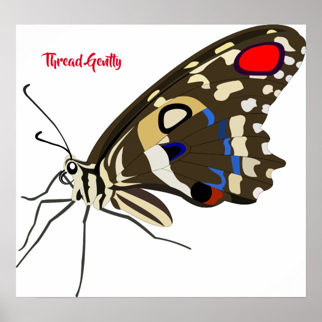 Poster léger du fil (Devant)