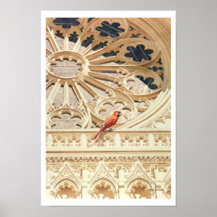 Poster L'église cardinale et l'aquarelle d'oiseaux