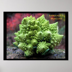 Poster Légume de brocoli de Romanesco