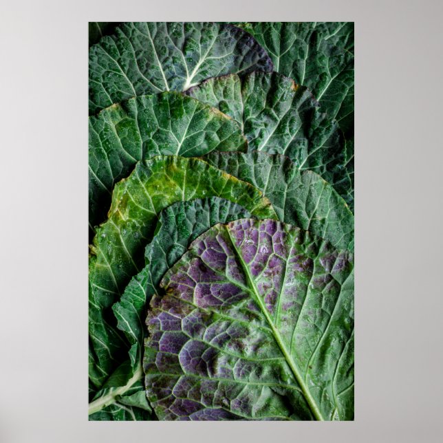 Poster Légume vert (Devant)