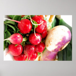 Poster Légumes à racine