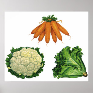 Poster Légumes anciens; carottes, chou-fleur, laitue