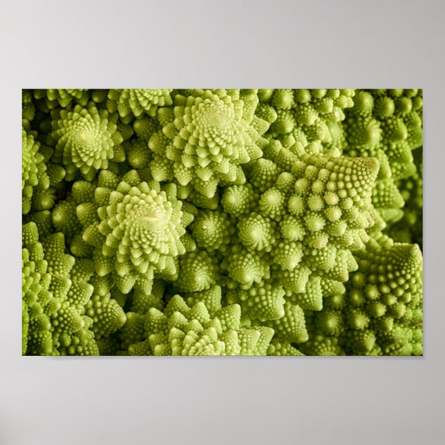 Poster Légumes de brocoli Romanesco gros (Devant)