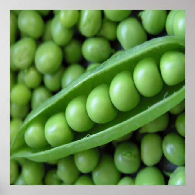 POSTER LÉGUMES DE FRUITS (Devant)