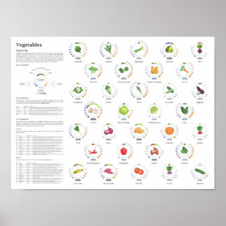Poster Légumes - Valeurs nutritionnelles - Infographie